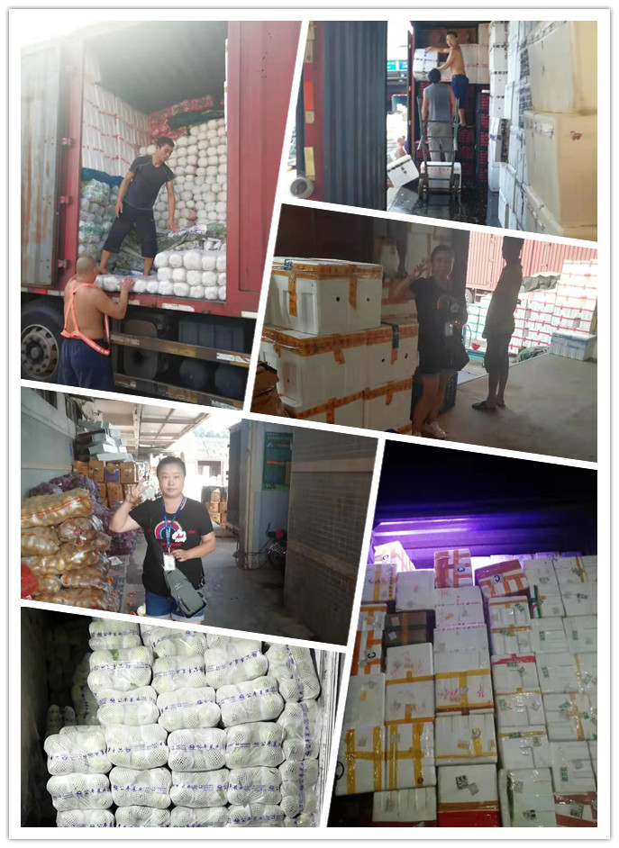 鉴黑担保网(jhdbw)·最具权威唯一维权担保平台