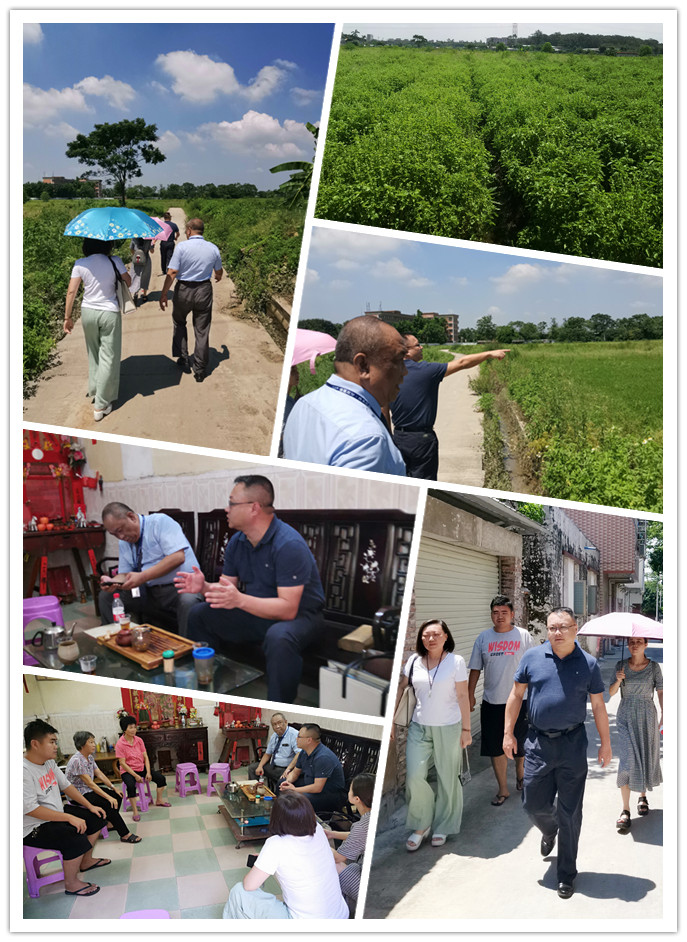 鉴黑担保网(jhdbw)·最具权威唯一维权担保平台