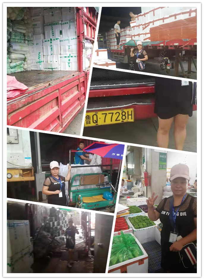 鉴黑担保网(jhdbw)·最具权威唯一维权担保平台