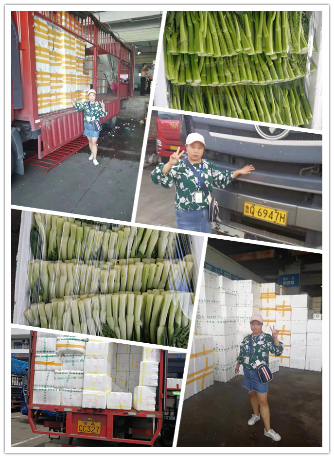 鉴黑担保网(jhdbw)·最具权威唯一维权担保平台