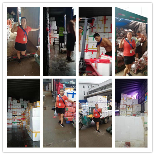 鉴黑担保网(jhdbw)·最具权威唯一维权担保平台