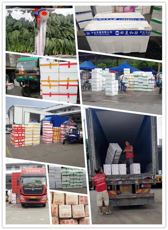 鉴黑担保网(jhdbw)·最具权威唯一维权担保平台