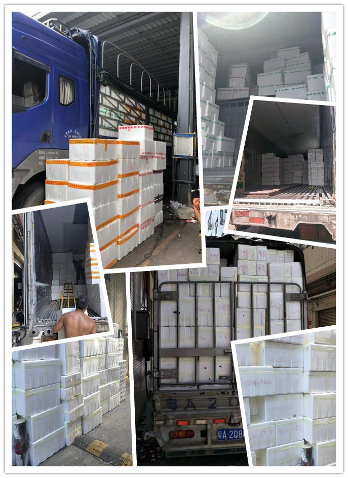 鉴黑担保网(jhdbw)·最具权威唯一维权担保平台