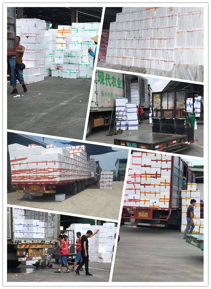 鉴黑担保网(jhdbw)·最具权威唯一维权担保平台