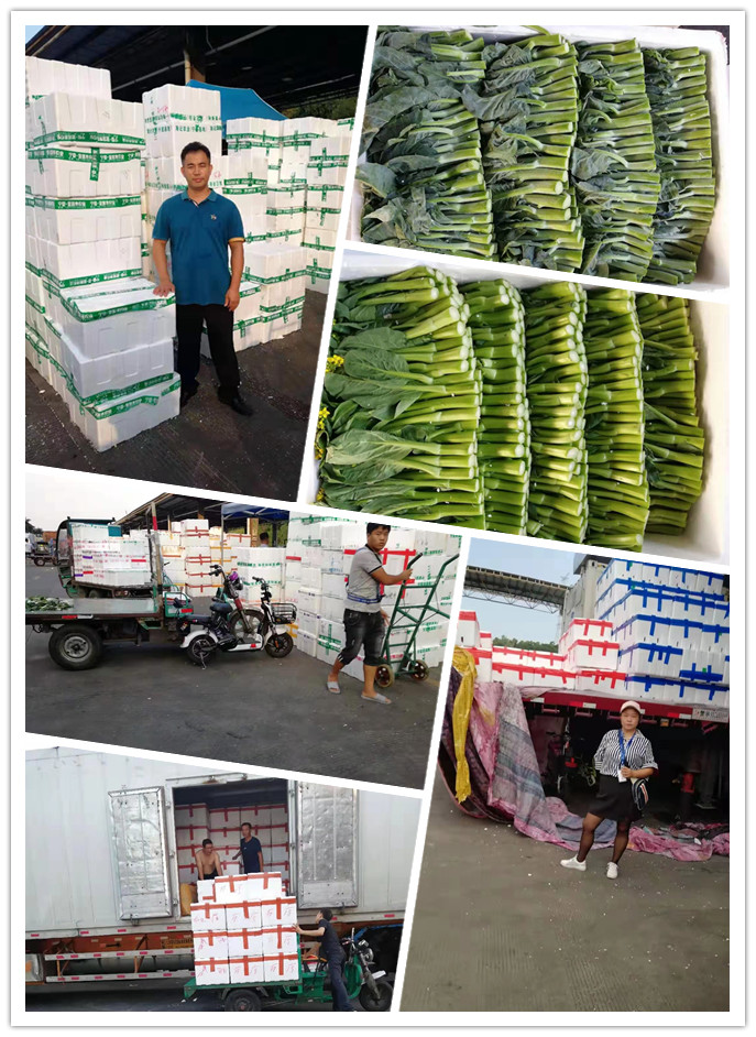 鉴黑担保网(jhdbw)·最具权威唯一维权担保平台