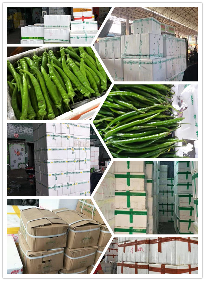 鉴黑担保网(jhdbw)·最具权威唯一维权担保平台