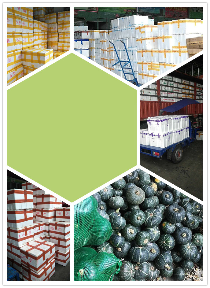 鉴黑担保网(jhdbw)·最具权威唯一维权担保平台