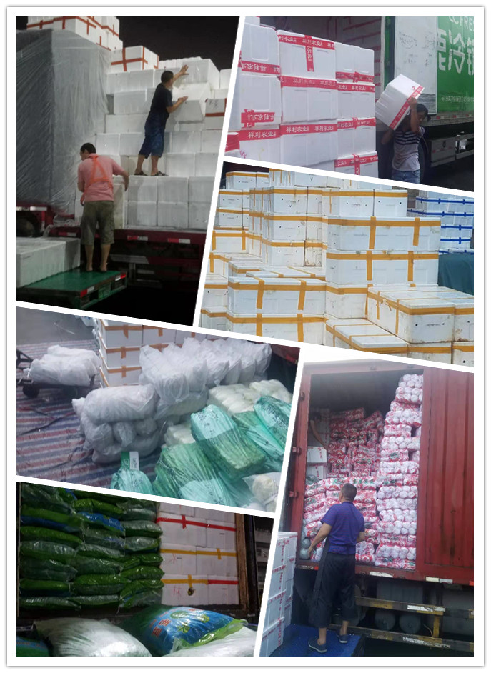 鉴黑担保网(jhdbw)·最具权威唯一维权担保平台