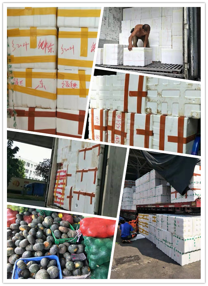 鉴黑担保网(jhdbw)·最具权威唯一维权担保平台