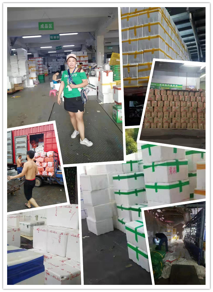 鉴黑担保网(jhdbw)·最具权威唯一维权担保平台