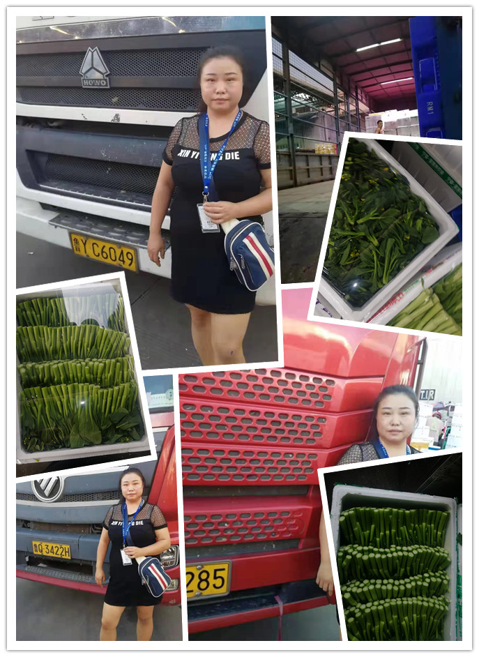 鉴黑担保网(jhdbw)·最具权威唯一维权担保平台