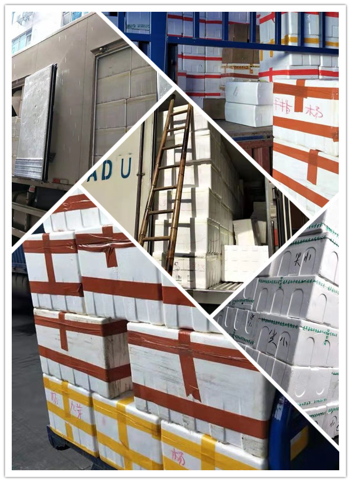 鉴黑担保网(jhdbw)·最具权威唯一维权担保平台