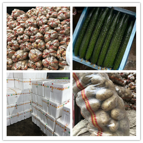 鉴黑担保网(jhdbw)·最具权威唯一维权担保平台