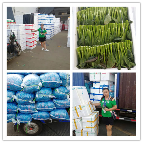 鉴黑担保网(jhdbw)·最具权威唯一维权担保平台