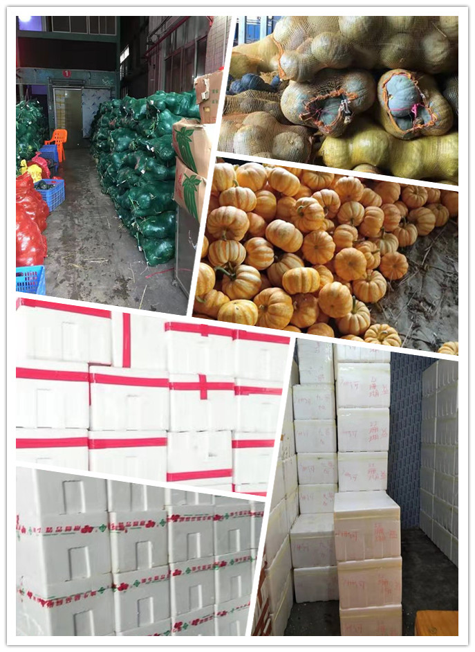 鉴黑担保网(jhdbw)·最具权威唯一维权担保平台