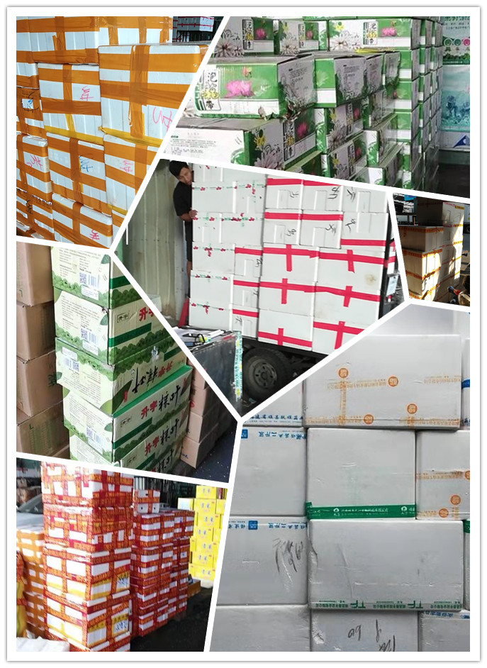 鉴黑担保网(jhdbw)·最具权威唯一维权担保平台