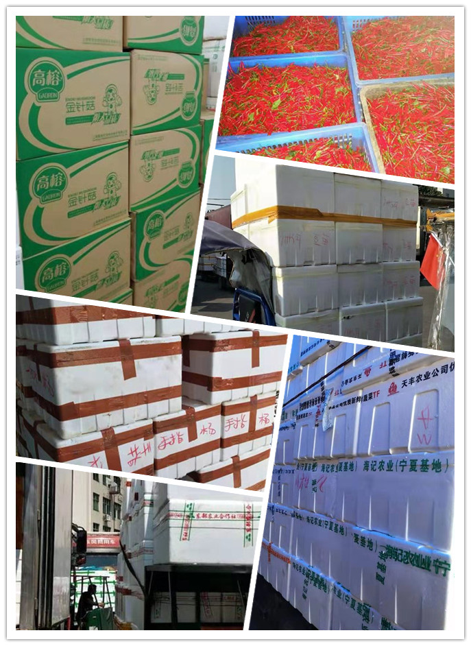 鉴黑担保网(jhdbw)·最具权威唯一维权担保平台