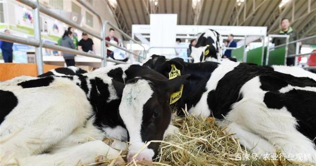 鉴黑担保网(jhdbw)·最具权威唯一维权担保平台