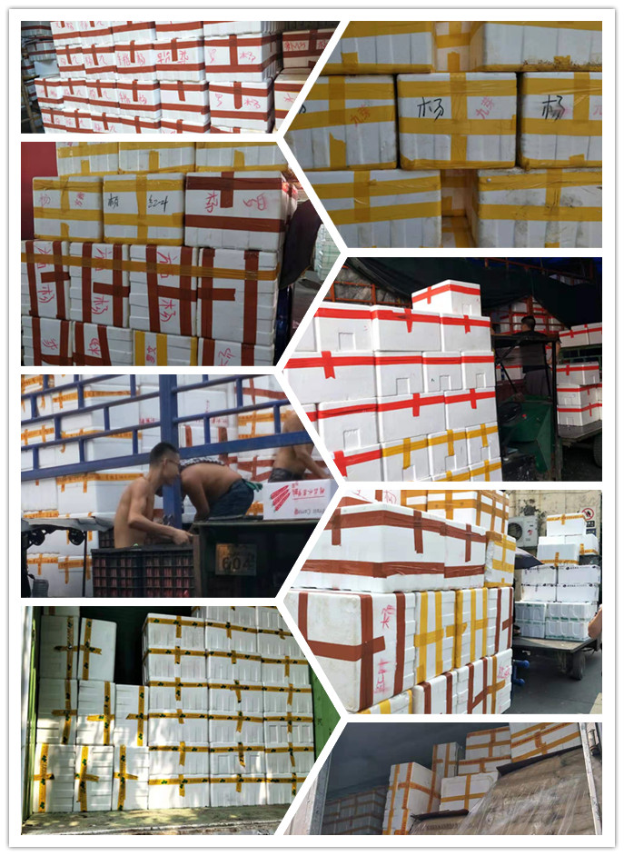 鉴黑担保网(jhdbw)·最具权威唯一维权担保平台