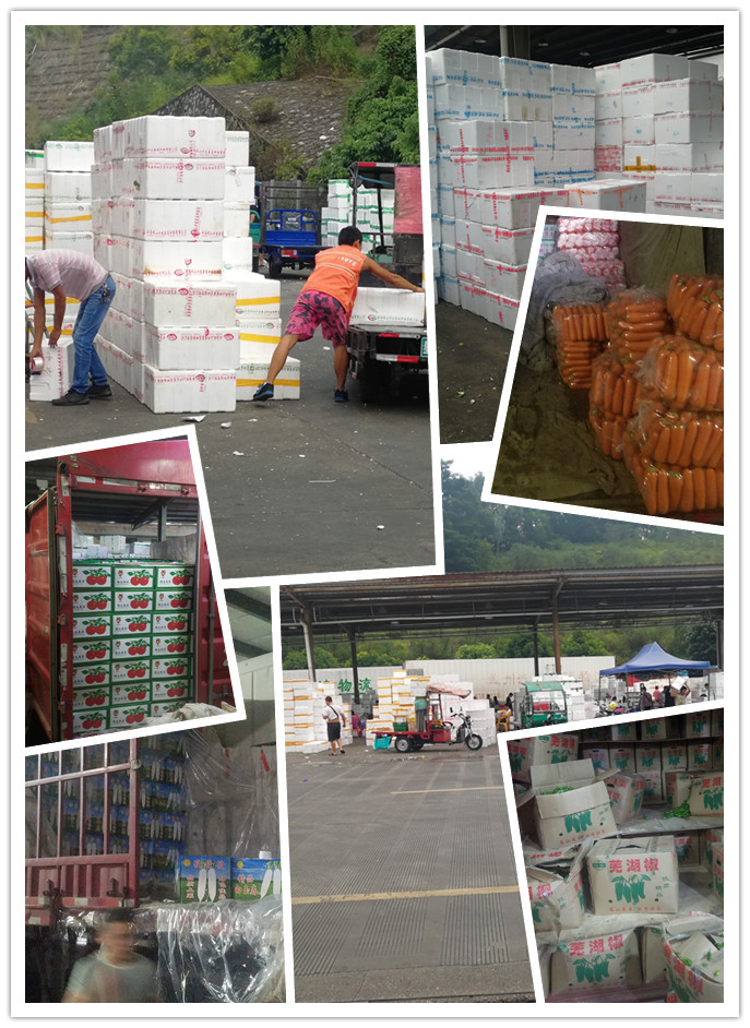 鉴黑担保网(jhdbw)·最具权威唯一维权担保平台