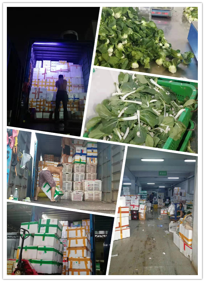 鉴黑担保网(jhdbw)·最具权威唯一维权担保平台