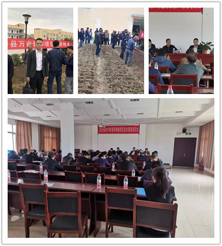 鉴黑担保网(jhdbw)·最具权威唯一维权担保平台