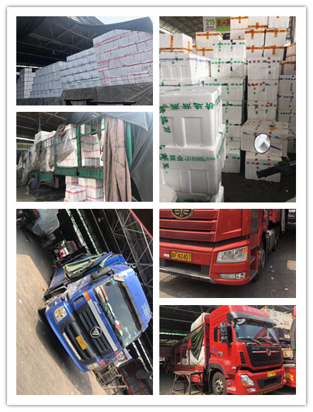 鉴黑担保网(jhdbw)·最具权威唯一维权担保平台