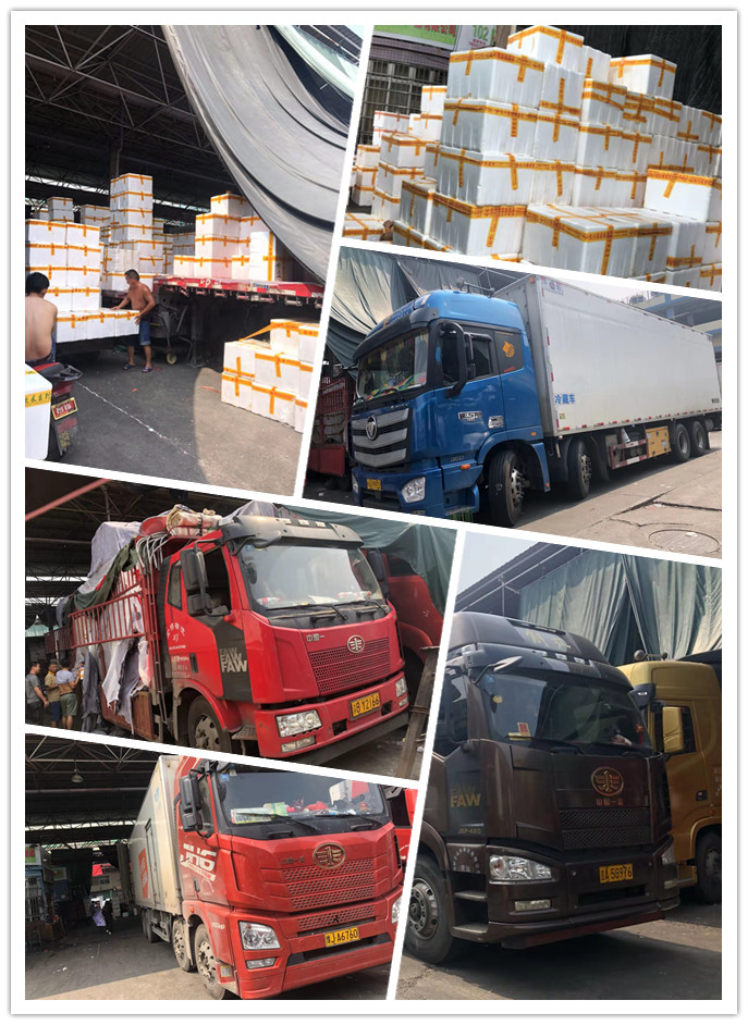 鉴黑担保网(jhdbw)·最具权威唯一维权担保平台