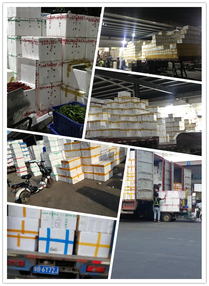 鉴黑担保网(jhdbw)·最具权威唯一维权担保平台