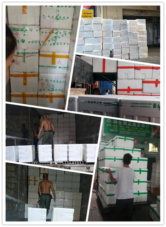 鉴黑担保网(jhdbw)·最具权威唯一维权担保平台