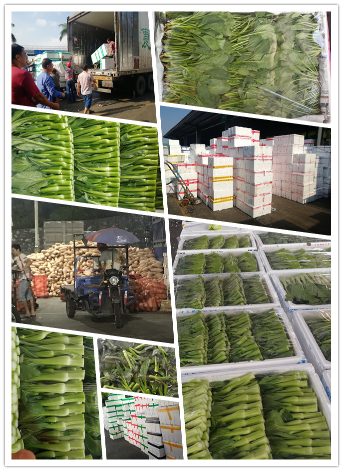 鉴黑担保网(jhdbw)·最具权威唯一维权担保平台