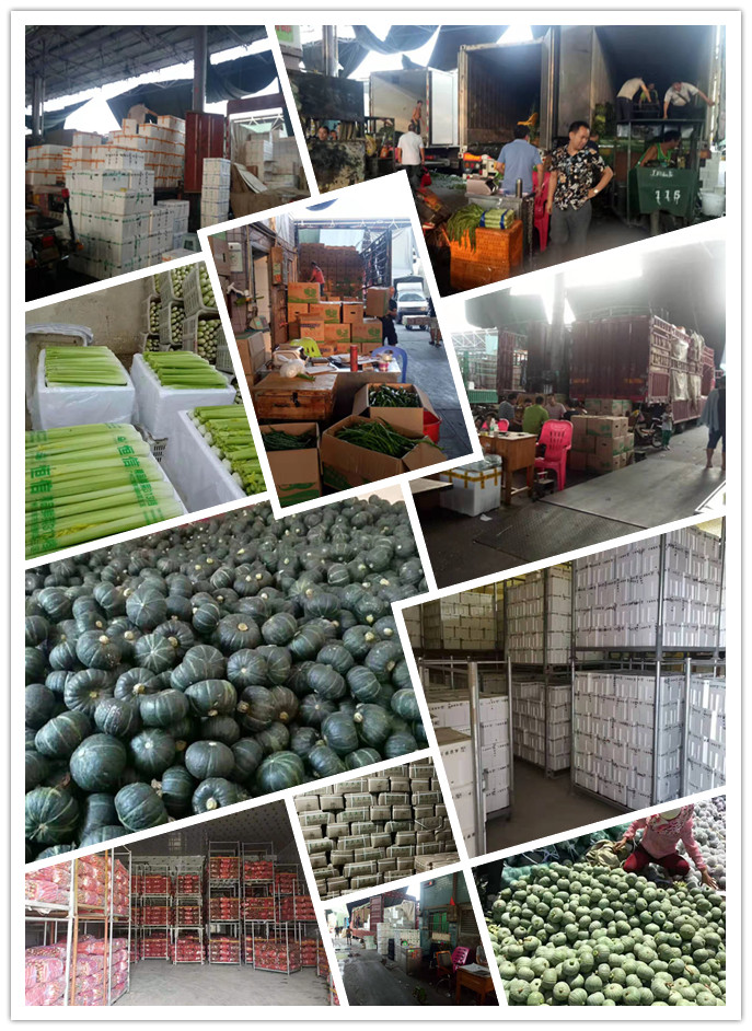 鉴黑担保网(jhdbw)·最具权威唯一维权担保平台