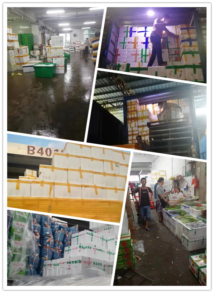 鉴黑担保网(jhdbw)·最具权威唯一维权担保平台