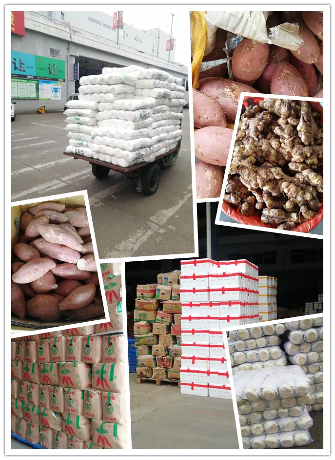 鉴黑担保网(jhdbw)·最具权威唯一维权担保平台