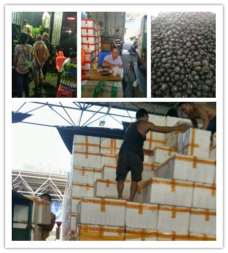 鉴黑担保网(jhdbw)·最具权威唯一维权担保平台