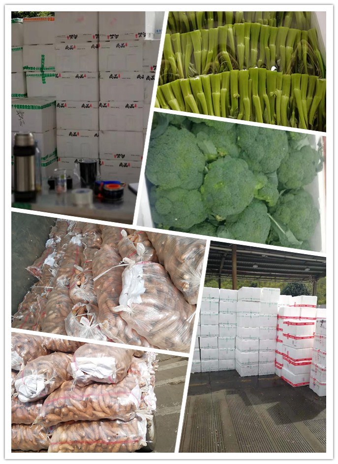 鉴黑担保网(jhdbw)·最具权威唯一维权担保平台