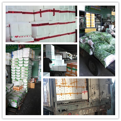 鉴黑担保网(jhdbw)·最具权威唯一维权担保平台