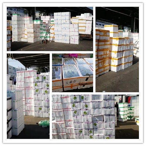 鉴黑担保网(jhdbw)·最具权威唯一维权担保平台