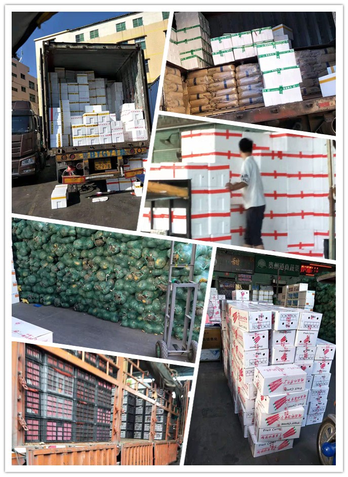 鉴黑担保网(jhdbw)·最具权威唯一维权担保平台