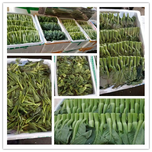 鉴黑担保网(jhdbw)·最具权威唯一维权担保平台