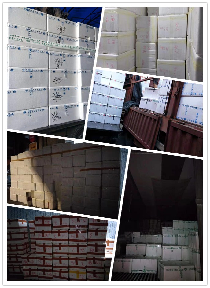 鉴黑担保网(jhdbw)·最具权威唯一维权担保平台