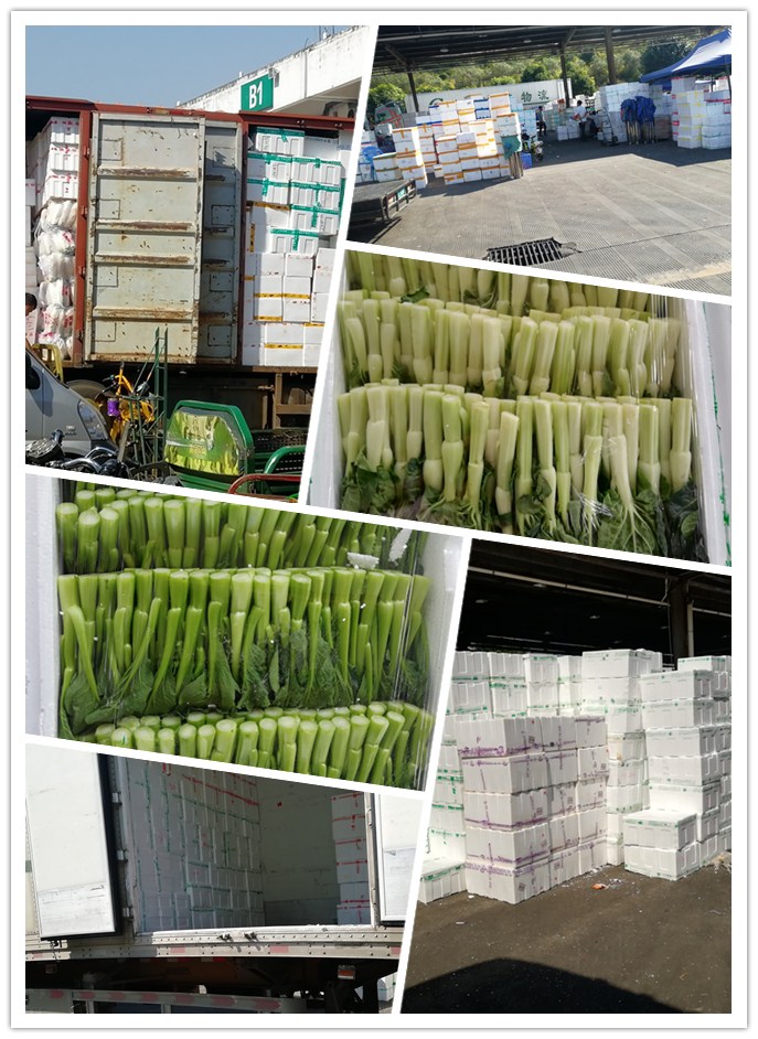 鉴黑担保网(jhdbw)·最具权威唯一维权担保平台