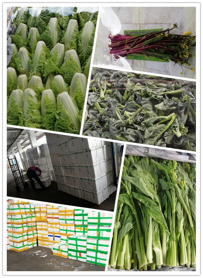 鉴黑担保网(jhdbw)·最具权威唯一维权担保平台