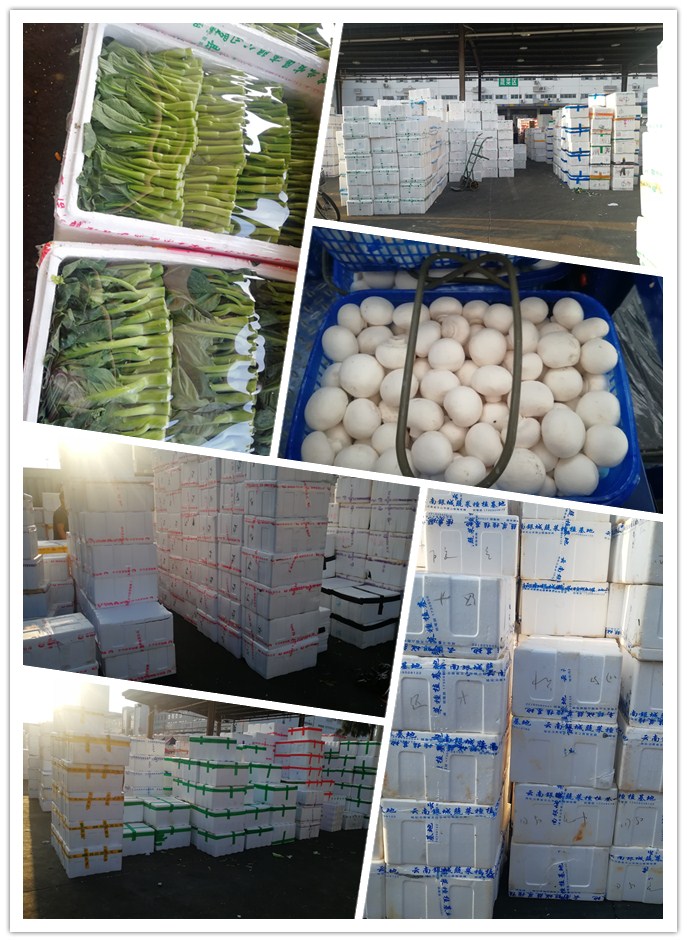 鉴黑担保网(jhdbw)·最具权威唯一维权担保平台