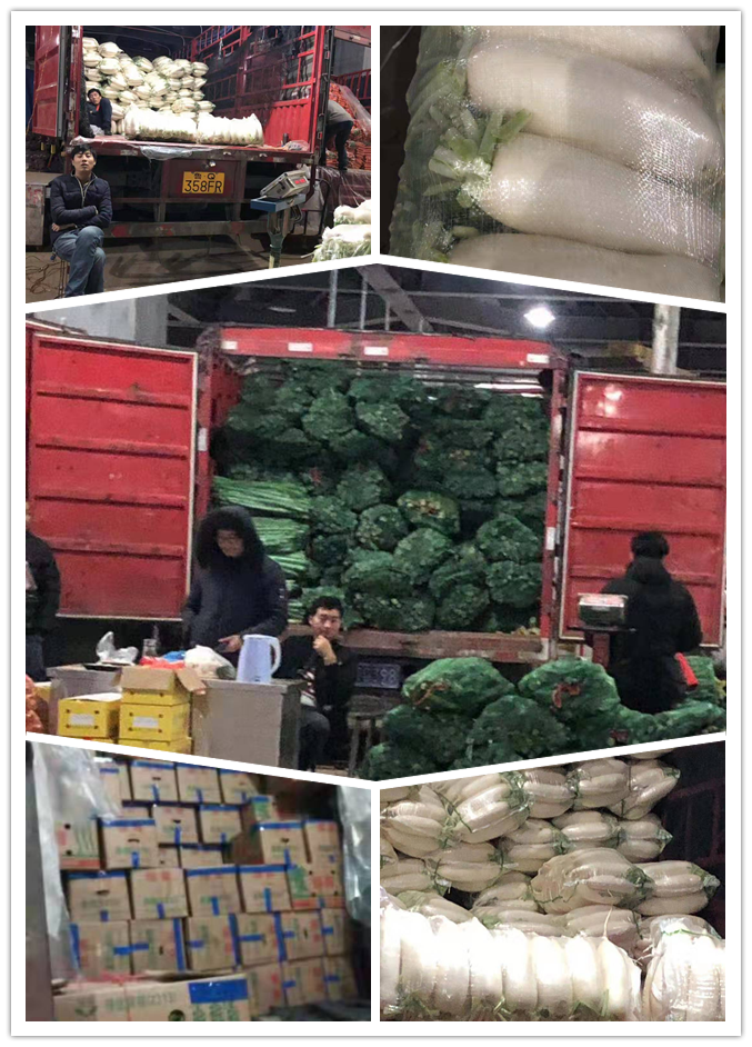 鉴黑担保网(jhdbw)·最具权威唯一维权担保平台