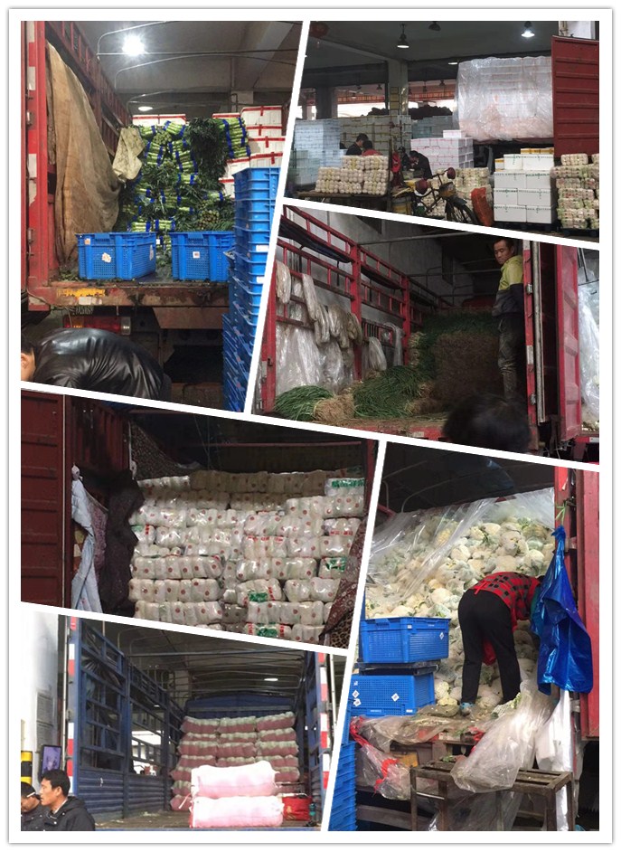 鉴黑担保网(jhdbw)·最具权威唯一维权担保平台