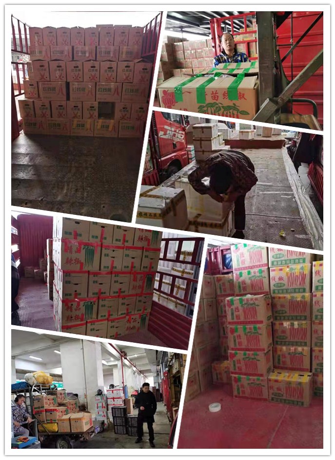 鉴黑担保网(jhdbw)·最具权威唯一维权担保平台