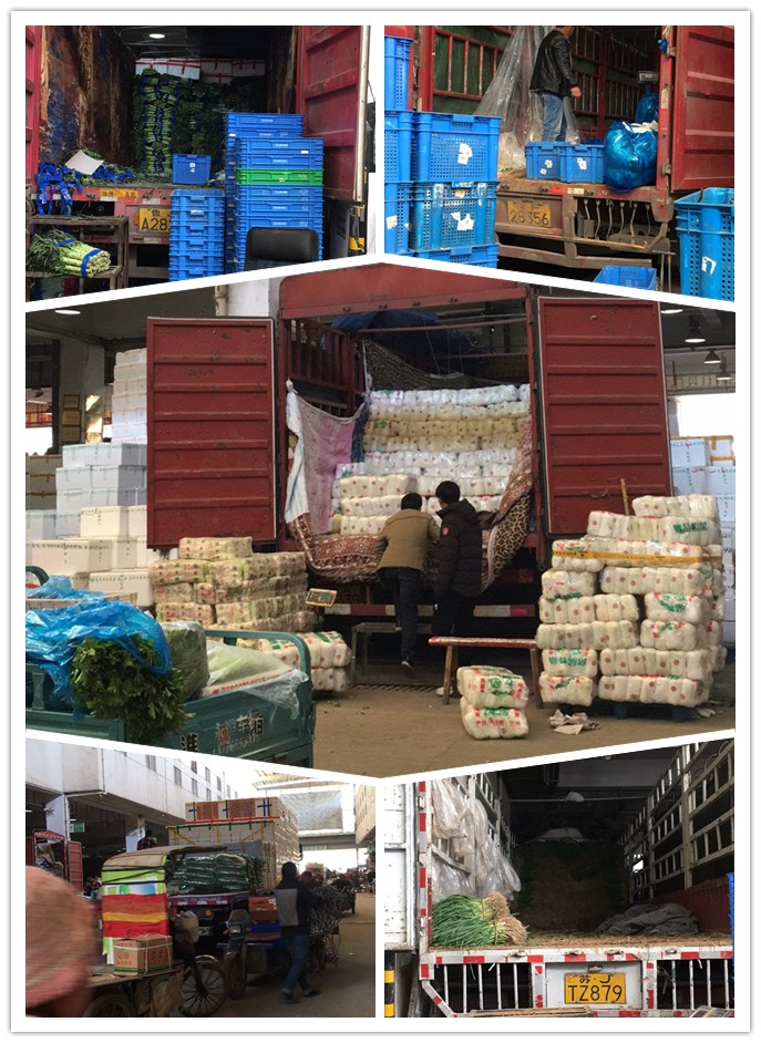 鉴黑担保网(jhdbw)·最具权威唯一维权担保平台