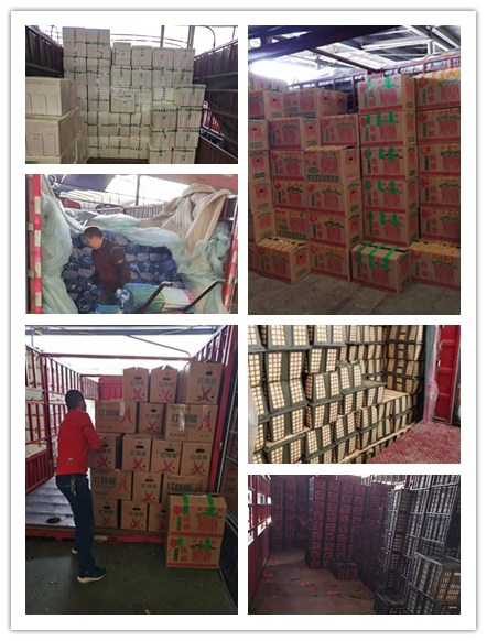 鉴黑担保网(jhdbw)·最具权威唯一维权担保平台