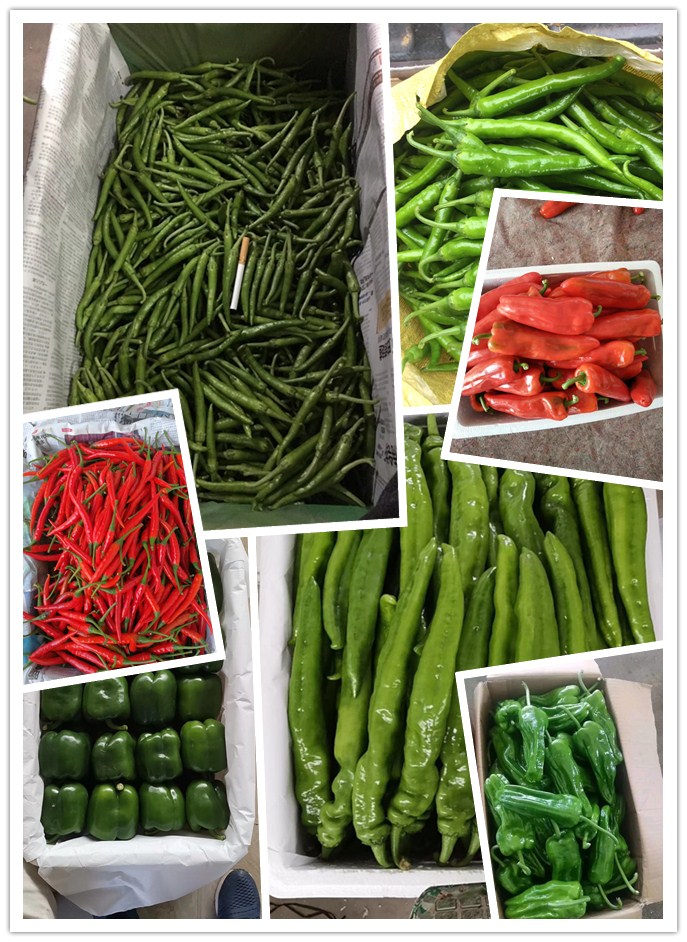 鉴黑担保网(jhdbw)·最具权威唯一维权担保平台